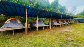 Paradise Tent Stay Vattavada Munnar
